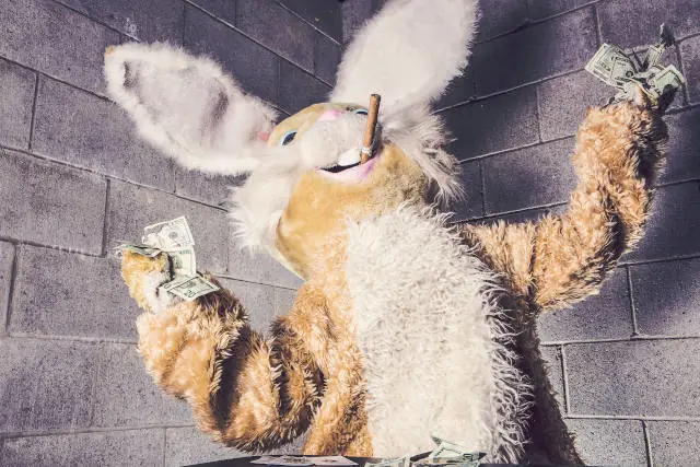 Large Stuffed Rabit With Cash For Your Note